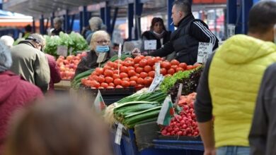 Photo of Ќе нема турски домати во Македонија, се очекува поскапување