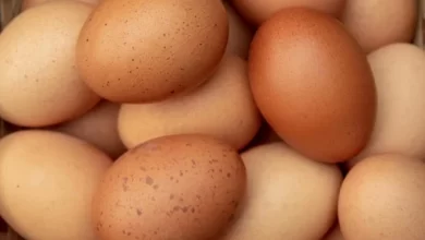 Photo of Цената на јајцата за една година во просек зголемени за 30 проценти