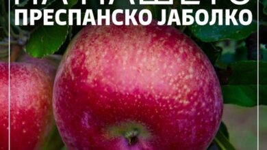 Photo of Николовски-17 решенија за производители на преспанско јаболко, кои ќе го користат називот- ПРЕСПАНСКО ЈАБОЛКО