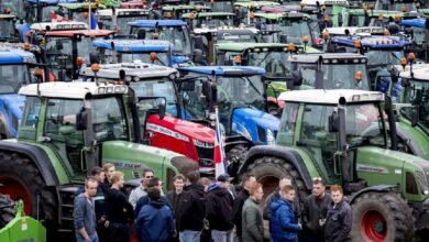 Photo of Протестната партија на земјоделците во Холандија освои 15 места во Сенатот