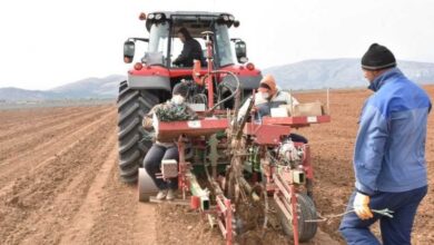 Photo of Индивидуалните земјоделци формираа Национална земјоделска мрежа, претставена пред оризопроизводителите од Кочанско