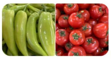 Photo of Домашното производство ги намали цените на зеленчукот