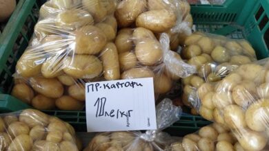 Photo of Младиот компир во Пловдив се продава и за пет евра по килограм