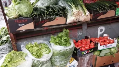 Photo of Директорот на „Финансиска полиција“ најавува нови кривични пријави за трговците на овошје и зеленчук