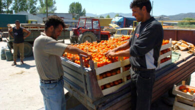 Photo of Македонските домати и јаболка сѐ помалку се (от)купуваат!