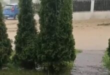 Photo of Страшно невреме во Делчево, улиците се под вода!