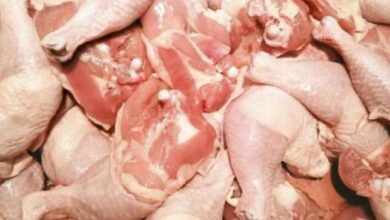 Photo of „НОВА ЕРА“: САД одобруваат продажба на месо одгледувано во лабораторија