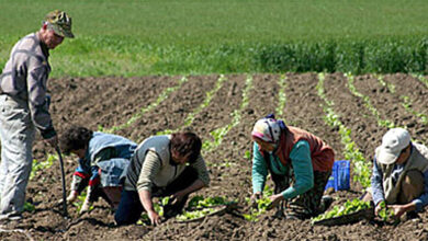 Photo of Николовски: Жени се носители на 5 000 нови земјоделски стопанства