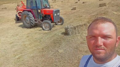 Photo of Христијан Мицоски-Шефо,  работи 15 хектари земја и се што произведува е храна за стоката