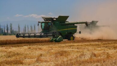 Photo of Пченицата поскапе за 14, а пченката за 10 проценти-Остри апели до Путин, ОН и ММФ