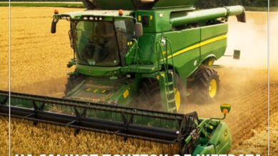 Photo of МЗШВ: Владата ги прифати новите мерки за поддршка на пченица, јачмен и ориз