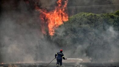 Photo of Пожар кај селото Страчинци