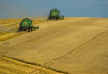 Photo of ЕУ ги зголемува царините за руското и белоруското жито