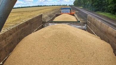 Photo of Пет земји од Источна Европа бараат нова забрана за увоз на украинско жито
