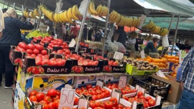 Photo of Килограм домати на големо се откупува од 25 до 40 денари, а на пазарите се продава до 139 денари