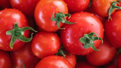 Photo of Трговците повторно ги скрија пиперките и доматите, не сакаат да ги продаваат по „гарантирани цени“