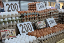 Photo of Живинарските фарми предупредуваат дека новите цени ќе предизвикаат недостиг на јајца во маркетите