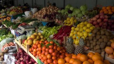 Photo of ВИДЕО-Земјоделците незадоволни од владината одлука да се намали царината за зеленчук и овошје