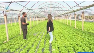 Photo of Мухамед Ебипи од скопско Крушопек обработува земјиште од 7000 М2, по дипломирањето одлучил да се занимава со земјоделство