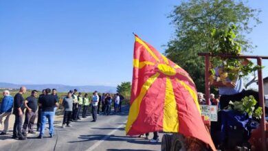 Photo of Лозари го блокираа патот Кавадарци – Неготино, бараат подобри услови за лозаропроизводство