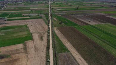 Photo of Распишан јавен оглас за доделување на 1.776 хектари државно земјоделско земјиште над 3 хектари за подигнување на долгогодишни насади