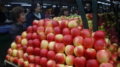 Photo of Србите го сакаат македонското јаболко