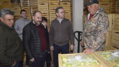 Photo of Трипуновски-додека македонското квалитетно јаболко стои неоткупено се увезува јаболко од странство
