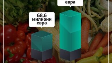 Photo of Извозот на македонскиот зеленчук надмина рекордни 95 милиони евра