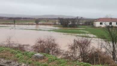 Photo of Пелагонија по дождот со поплавени ниви и излеани канали