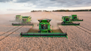 Photo of Опаѓа домашното производство на пченица. Зошто дозволивме?