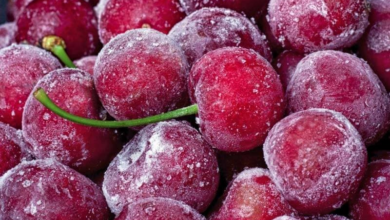 Photo of Холандија повлекла од пазарот вишни од Србија поради пестицид