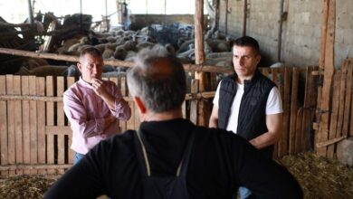 Photo of Ико Алексов вреден сточар одгледува 320 овци