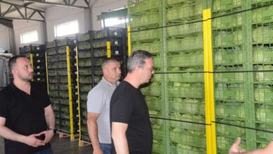 Photo of Трипуновски во посета на откупни центри за зелка во Струмичкиот регион