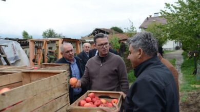Photo of Четири милиони килограми јаболка се влезени во земјава
