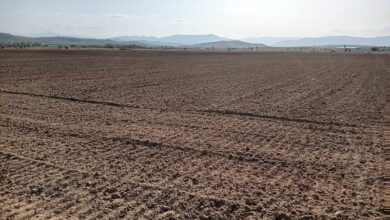 Photo of Бесплатна анализа на почвата во Општина Илинден