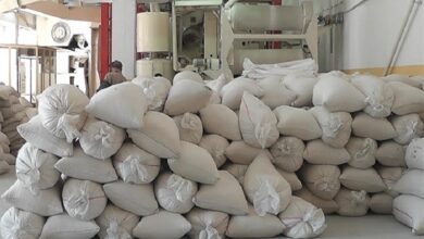 Photo of Од извоз на ориз остварен девизен прилив од 7 милиони евра