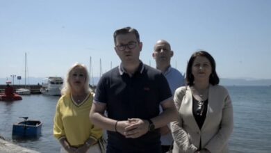 Photo of Трипуновски: Пет години не е извршено порибување со Охридска пастрмка