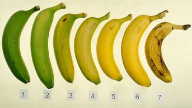 Photo of Кои банани се најдобри, а кои треба да се избегнуваат?