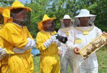 Photo of Пчеларници вклучени во туристичка понуда во Тиквешијата