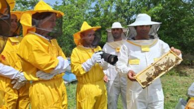Photo of Пчеларници вклучени во туристичка понуда во Тиквешијата