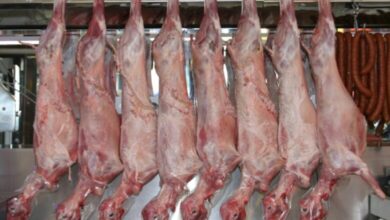 Photo of НОВ СКОК на цените на храната во април – најскапо месото