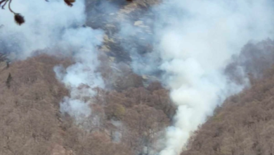 Photo of Пожар над село Марвинци во Валандовско – се заканува да се прошири накај селото