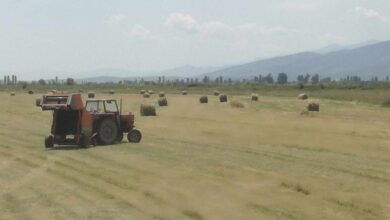 Photo of Панел-дискусија „Дигитализација во земјоделството – Предизвици и можности за македонскиот земјоделско-прехранбен сектор“