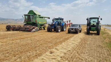 Photo of Почна жетвата во Пелагонија-3300 кг жито по хетар