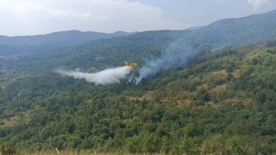 Photo of Пожари во Кумановско, Велешко, Штипско, Битолско, Охридско
