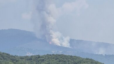 Photo of Се бараат војници да го гасат пожарот на планината Серта
