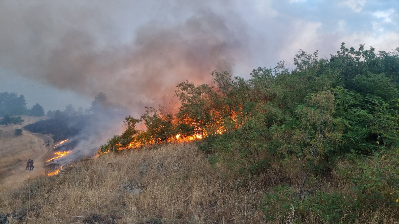 Photo of Најдено е починато лице во опожареното село Лозаново – Кривапаланка