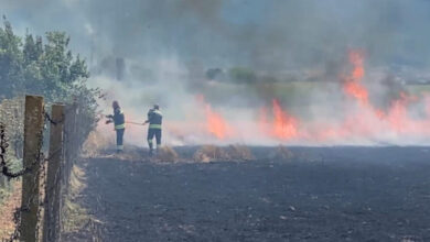 Photo of Владата донесе одлука за кризна состојба поради пожарите во траење од 30 дена