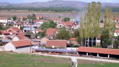 Photo of Жител на Канатларци е уапсен за предизвикување на шумски пожар