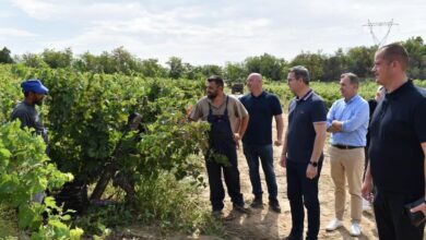 Photo of Златевски: Ќе бараме обесштетување од сушата според набраните количини по декар лозје